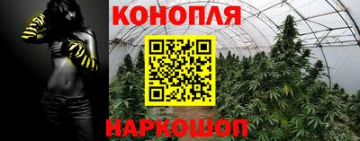 бошки Будённовск