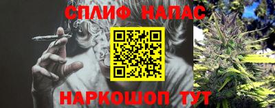 бошки Будённовск