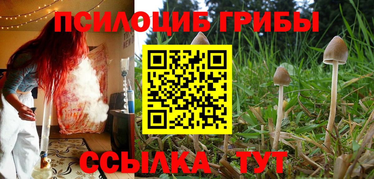 Псилоцибиновые грибы Magic Shrooms  Вход с VPN  Лесозаводск 